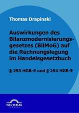 Auswirkungen Des Bilanzmodernisierungsgesetzes (Bilmog) Auf Die Rechnungslegung Im Handelsgesetzbuch: Inventarisierung Und Berwachung