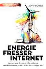 Energiefresser Internet