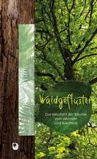 Waldgeflüster