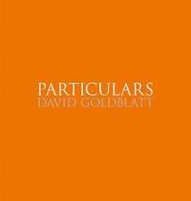 David Goldblatt: Particulars