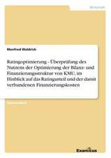 Ratingoptimierung - Überprüfung des Nutzens der Optimierung der Bilanz- und Finanzierungsstruktur von KMU, im Hinblick auf das Ratingurteil und der damit verbundenen Finanzierungskosten