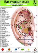 Ear Acupuncture