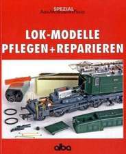 Lok-Modelle pflegen und reparieren