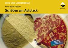 Schäden am Autolack