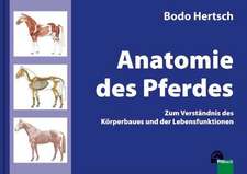 Anatomie des Pferdes