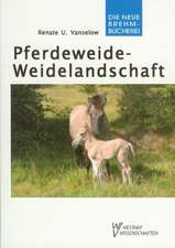 Pferdeweide-Weidelandschaft