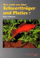 Wer weiß was über Schwertträger und Platies?