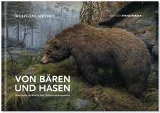 Von Bären und Hasen