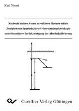 Nachweis leichter Atome in reaktiven Plasmen mittels Zweiphotonen laserinduzierter Fluoreszenzspektroskopie unter besonderer Berücksichtigung der Absolutkalibrierung