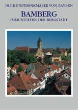 Die Kunstdenkmäler von Bayern / Immunitäten der Bergstadt Stadt Bamberg - Band 3.2