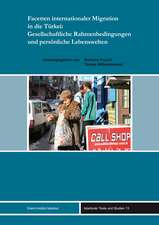 Facetten internationaler Migration in die Türkei: Gesellschaftliche Rahmenbedingungen und persönliche Lebenswelten