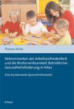 Determinanten der Arbeitszufriedenheit und die Breitenwirksamkeit Betrieblicher Gesundheitsförderung in Kitas