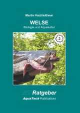 Welse (Siluridae)
