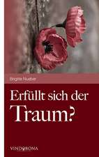 Erfullt Sich Der Traum?: Pictures and Concepts 2010-2015