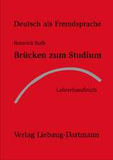 Brücken zum Studium. Lehrerhandbuch