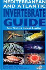 Mediterranean and Atlantic Invertebrate Guide