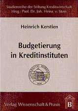 Budgetierung in Kreditinstituten