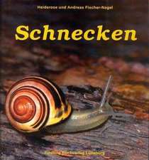 Schnecken