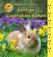 Lustige Zwergkaninchen