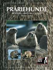 Präriehunde