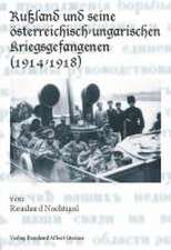 Rußland und seine österreichisch-ungarischen Kriegsgefangenen (1914-1918)