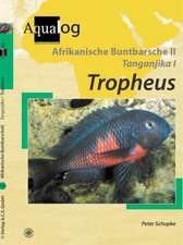 Afrikanische Buntbarsche 2. Tanganjika 1. Tropheus