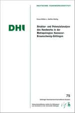 Struktur- und Potenzialanalyse des Handwerks in der Metropolregion Hannover-Braunschweig-Göttingen