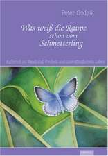 Was weiß die Raupe schon vom Schmetterling