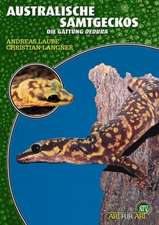 Australische Samtgeckos