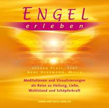 Engel erleben. Audio CD