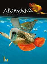 Asiatische Arowana