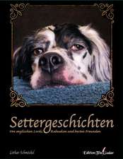 Settergeschichten