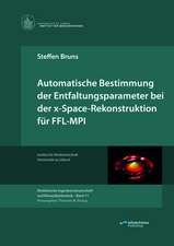 Bruns, S: Automatische Bestimmung der Entfaltungsparameter b