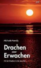 Drachen-Erwachen