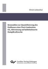 Kennzahlen zur Quantifizierung des Einflusses einer Post-Combustion CO2-Abtrennung auf kohlebefeuerte Dampfkraftwerke