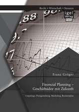 Financial Planning - Geschaftsidee Mit Zukunft: Ursprunge, Preisgestaltung, Marketing, Businessplan