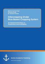 Intercropping Under Rice-Based Cropping System: An Experimental Study on Productivity and Profitability