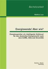 Energiewende! Aber Wie? Energiespeicher ALS Intelligente Schlussel Fur Den Deutschen Energiemarkt Nach Dem Enwg, Eeg Und Stromstg