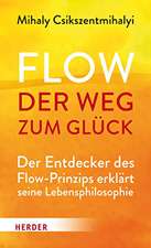 Flow - der Weg zum Glück