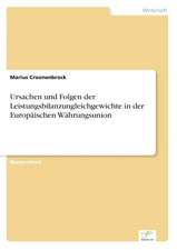 Ursachen und Folgen der Leistungsbilanzungleichgewichte in der Europäischen Währungsunion