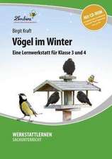 Vögel im Winter (Set)