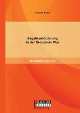 Begabtenforderung in Der Realschule Plus: Eine Kritische Analyse Des Cloud Computings Im Gewerblichen Bereich