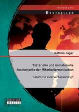 Materielle Und Immaterielle Instrumente Der Mitarbeitermotivation: Garant Fur Eine Verbesserung?