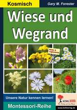 Wiese und Wegrand