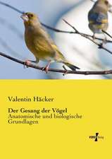 Der Gesang der Vögel