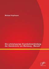 Die Schmalspurige Eisenbahnverbindung Der Steinbruche Von Malsburg - Marzell: Der Therapeutische Raum