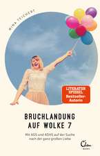 Bruchlandung auf Wolke 7