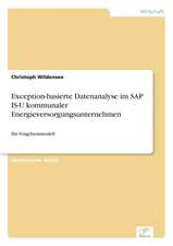 Exception-basierte Datenanalyse im SAP IS-U kommunaler Energieversorgungsunternehmen