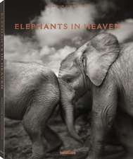 Schmeisser, J: Elephants in Heaven