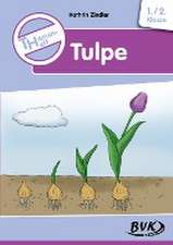 Themenheft Tulpe